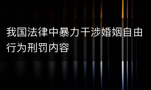 我国法律中暴力干涉婚姻自由行为刑罚内容