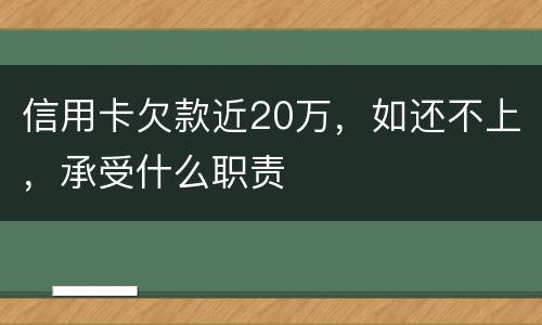 信用卡欠款近20万，如还不上，承受什么职责