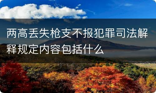 两高丢失枪支不报犯罪司法解释规定内容包括什么