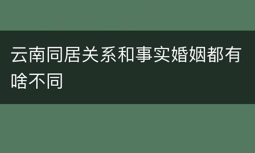 云南同居关系和事实婚姻都有啥不同