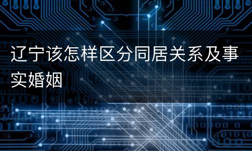 辽宁该怎样区分同居关系及事实婚姻