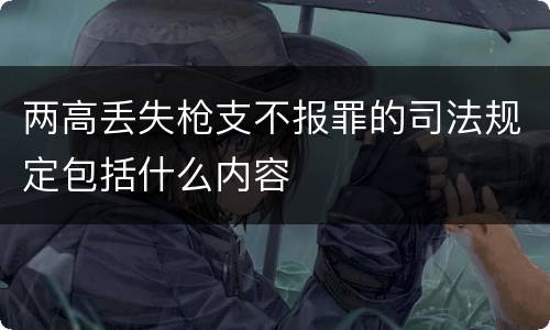 两高丢失枪支不报罪的司法规定包括什么内容