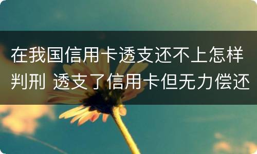 在我国信用卡透支还不上怎样判刑 透支了信用卡但无力偿还会怎么样