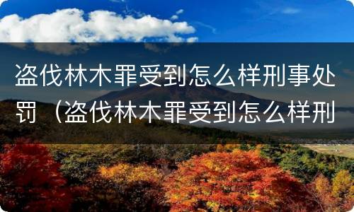 盗伐林木罪受到怎么样刑事处罚（盗伐林木罪受到怎么样刑事处罚呢）