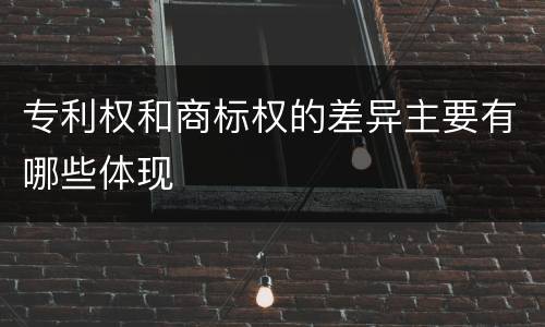 专利权和商标权的差异主要有哪些体现