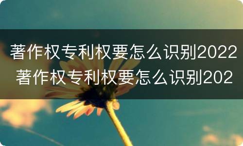 著作权专利权要怎么识别2022 著作权专利权要怎么识别2022年真假