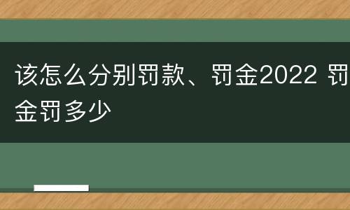 该怎么分别罚款、罚金2022 罚金罚多少