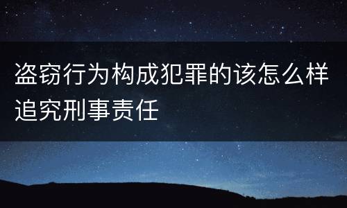 盗窃行为构成犯罪的该怎么样追究刑事责任