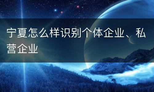 宁夏怎么样识别个体企业、私营企业