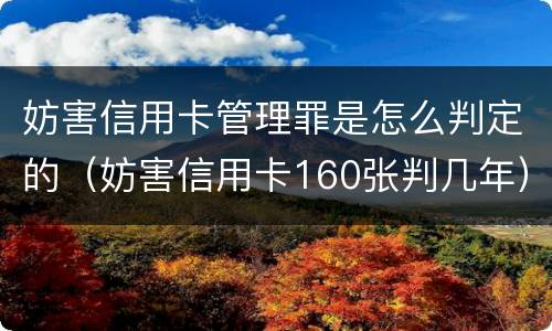 妨害信用卡管理罪是怎么判定的（妨害信用卡160张判几年）