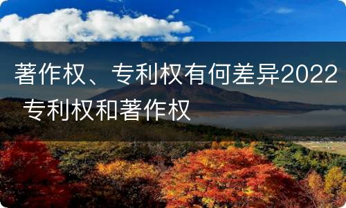 著作权、专利权有何差异2022 专利权和著作权