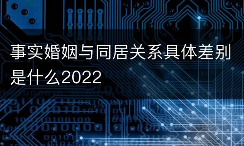 事实婚姻与同居关系具体差别是什么2022