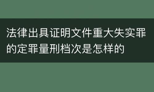 法律出具证明文件重大失实罪的定罪量刑档次是怎样的