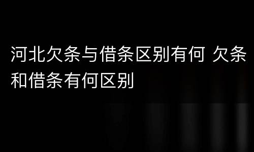 河北欠条与借条区别有何 欠条和借条有何区别