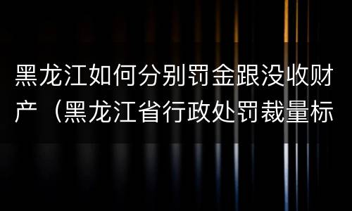 黑龙江如何分别罚金跟没收财产（黑龙江省行政处罚裁量标准）