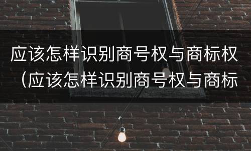 应该怎样识别商号权与商标权（应该怎样识别商号权与商标权的区别）