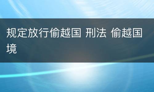 规定放行偷越国 刑法 偷越国境