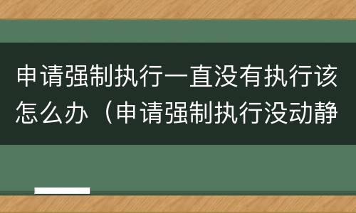 申请强制执行一直没有执行该怎么办（申请强制执行没动静）