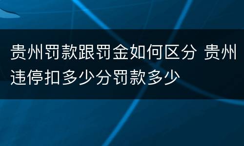 贵州罚款跟罚金如何区分 贵州违停扣多少分罚款多少