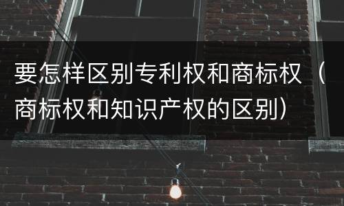 要怎样区别专利权和商标权（商标权和知识产权的区别）