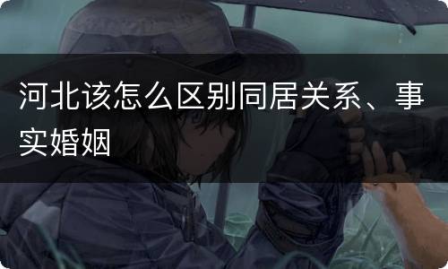河北该怎么区别同居关系、事实婚姻