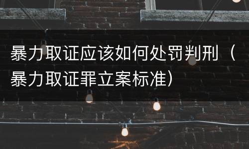 暴力取证应该如何处罚判刑（暴力取证罪立案标准）