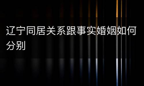 辽宁同居关系跟事实婚姻如何分别