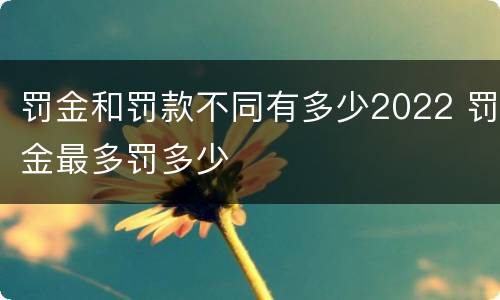 罚金和罚款不同有多少2022 罚金最多罚多少