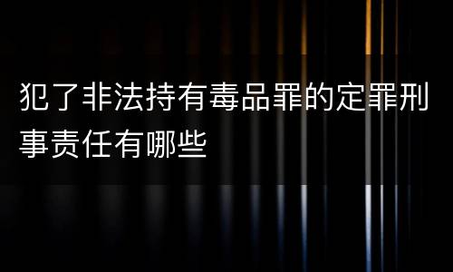 犯了非法持有毒品罪的定罪刑事责任有哪些