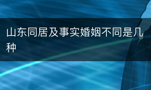 山东同居及事实婚姻不同是几种