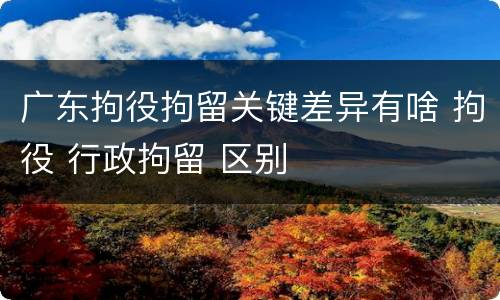 广东拘役拘留关键差异有啥 拘役 行政拘留 区别