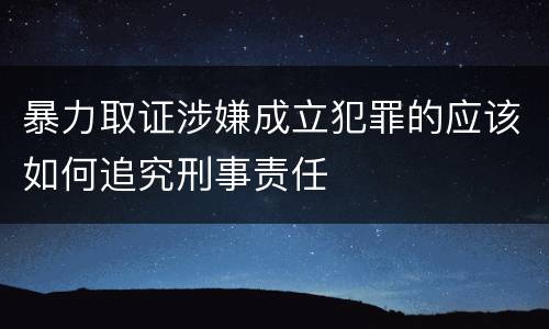 暴力取证涉嫌成立犯罪的应该如何追究刑事责任