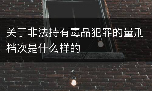 关于非法持有毒品犯罪的量刑档次是什么样的