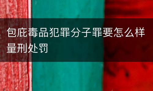 包庇毒品犯罪分子罪要怎么样量刑处罚