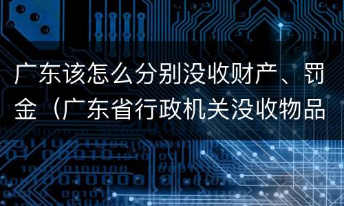 广东该怎么分别没收财产、罚金（广东省行政机关没收物品处理暂行办法）