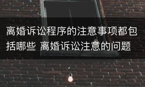 离婚诉讼程序的注意事项都包括哪些 离婚诉讼注意的问题