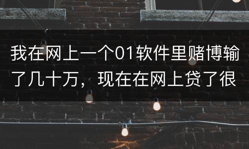 我在网上一个01软件里赌博输了几十万，现在在网上贷了很多网贷，还不起了，怎么办