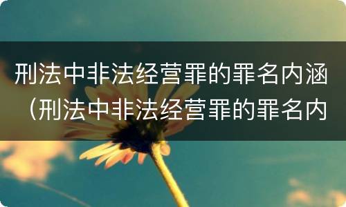 刑法中非法经营罪的罪名内涵（刑法中非法经营罪的罪名内涵包括）