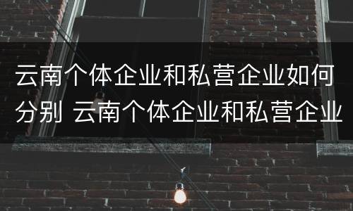 云南个体企业和私营企业如何分别 云南个体企业和私营企业如何分别认定