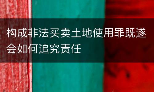 构成非法买卖土地使用罪既遂会如何追究责任