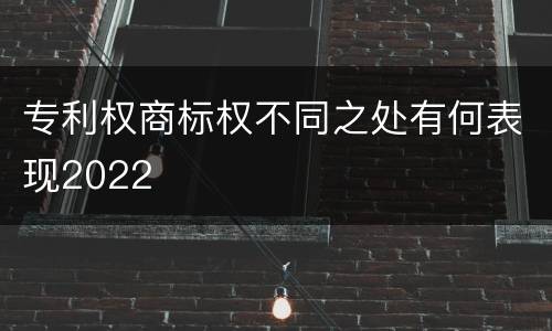 专利权商标权不同之处有何表现2022