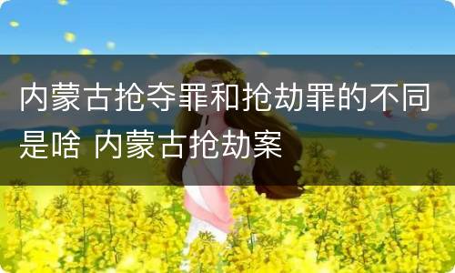 内蒙古抢夺罪和抢劫罪的不同是啥 内蒙古抢劫案