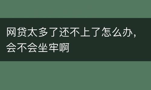 网贷太多了还不上了怎么办，会不会坐牢啊