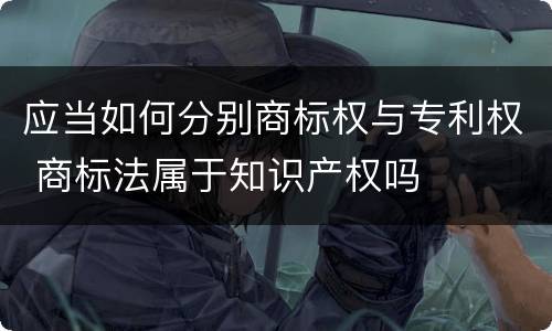 应当如何分别商标权与专利权 商标法属于知识产权吗