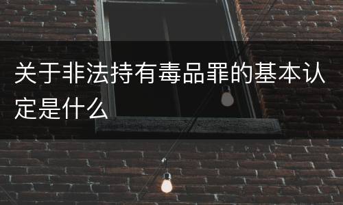 关于非法持有毒品罪的基本认定是什么