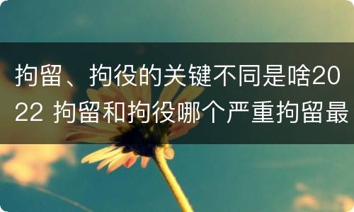 拘留、拘役的关键不同是啥2022 拘留和拘役哪个严重拘留最多多少天