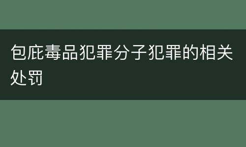 包庇毒品犯罪分子犯罪的相关处罚