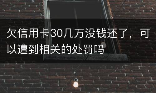 欠信用卡30几万没钱还了，可以遭到相关的处罚吗