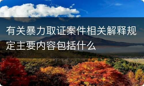 有关暴力取证案件相关解释规定主要内容包括什么