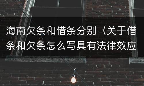 海南欠条和借条分别（关于借条和欠条怎么写具有法律效应）